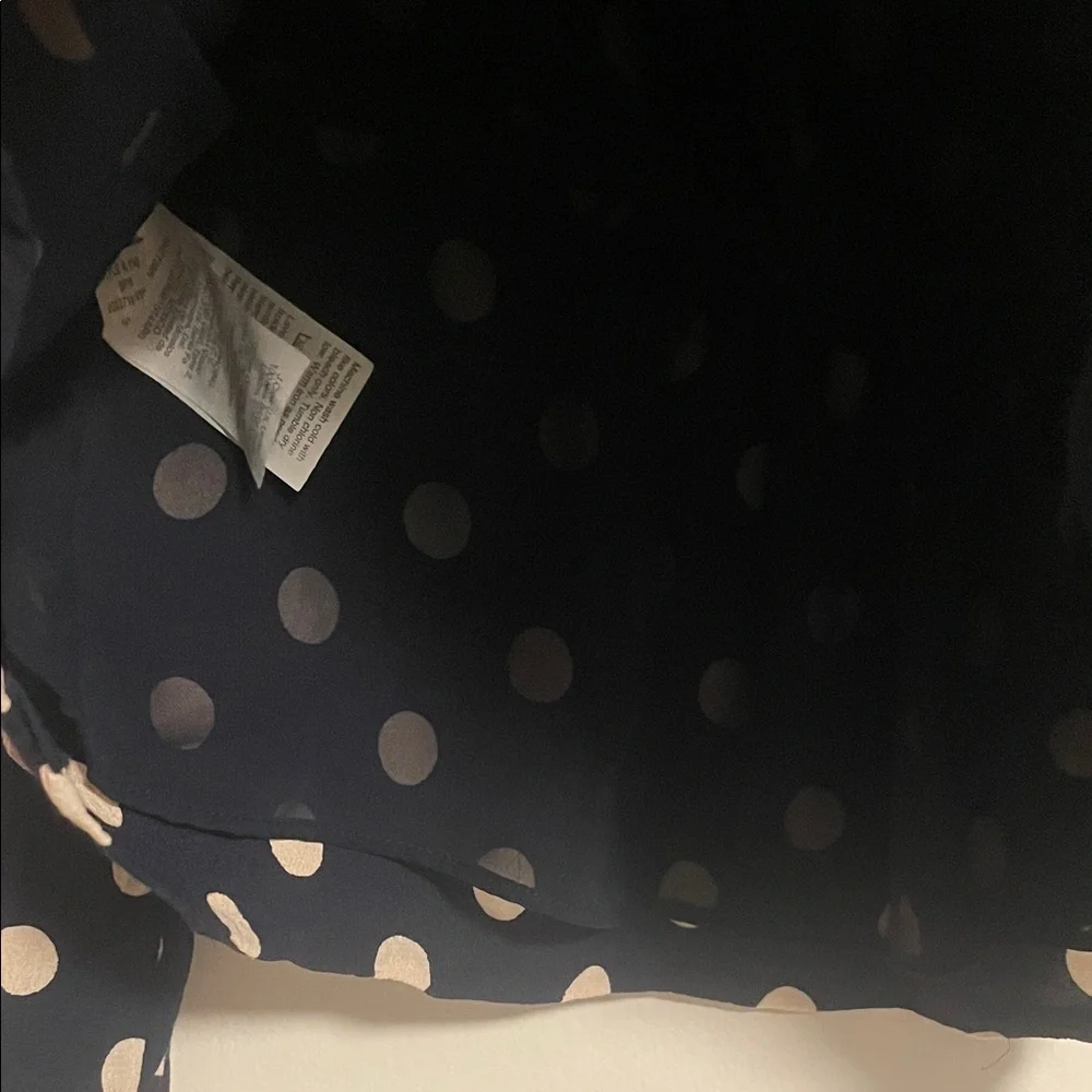 J. Crew Classic Polka Dot Blouse size 6